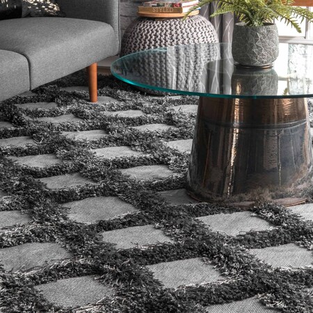 Nuloom Francene Diamond Trellis Shag Area Rug 4ft x 6ft BDFR01E-406